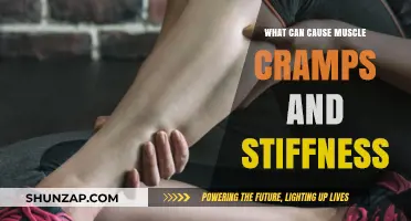 Muscle Cramps and Stiffness: Causes and Prevention