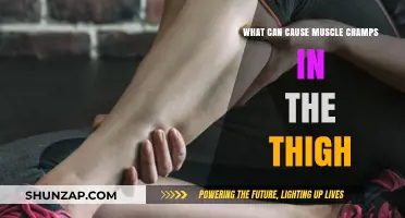 Thigh Muscle Cramps: Causes and Prevention
