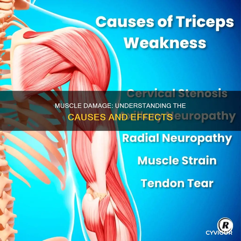 what can cause muscle damage