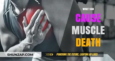 Muscle Death: Understanding the Causes and Consequences
