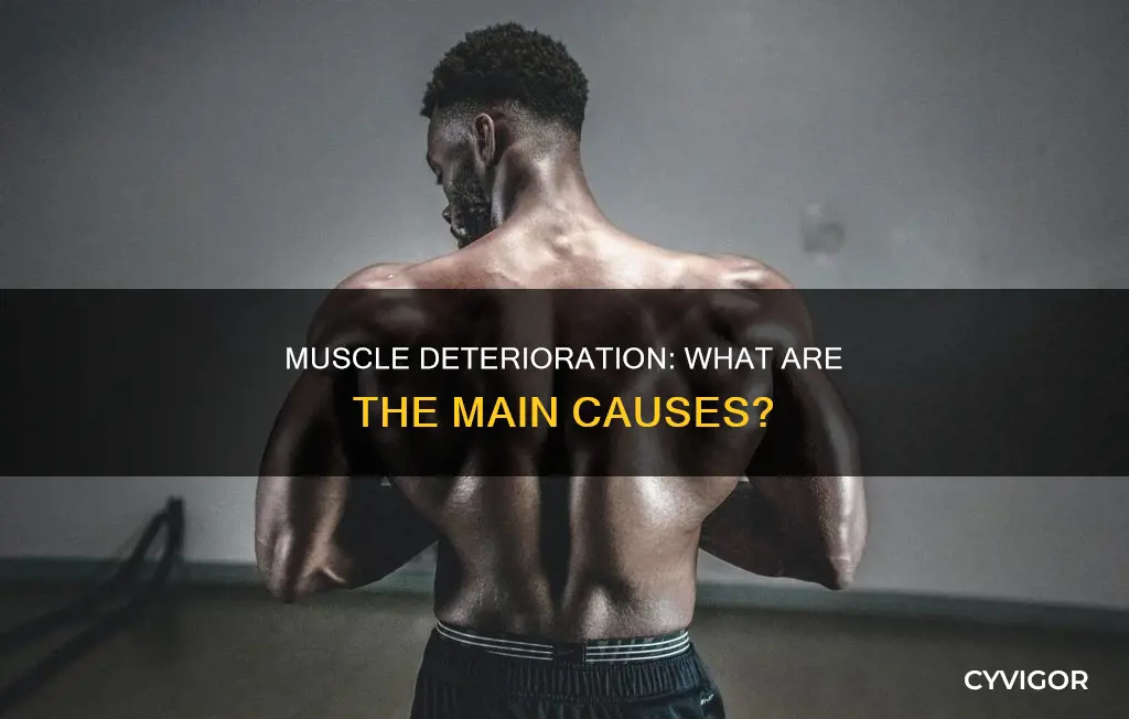 what can cause muscle deterioration