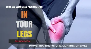 Leg Muscle Inflammation: What Are the Causes?