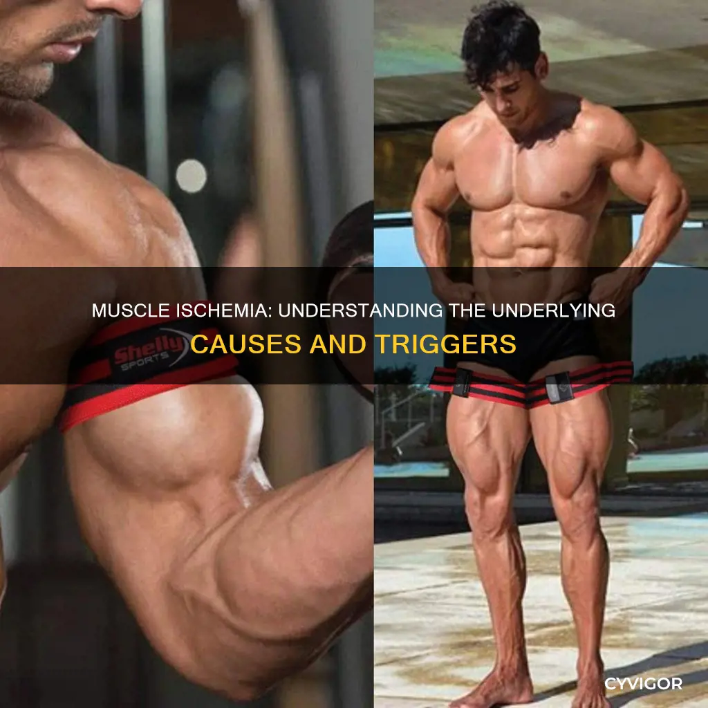 what can cause muscle ischemia