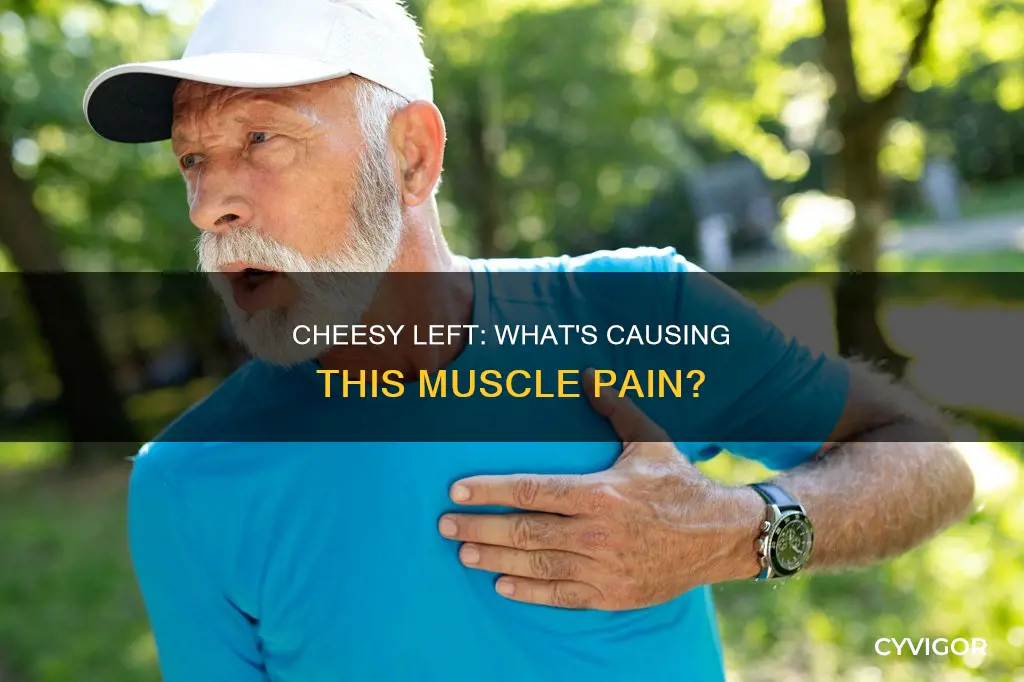 what can cause muscle like pain in theleft cheesy