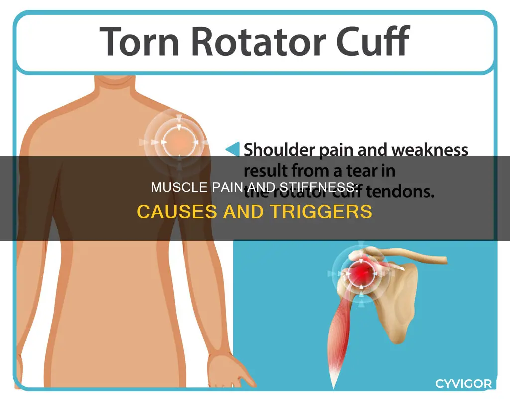 what can cause muscle pain and stiffness