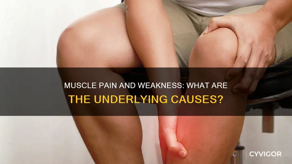 what can cause muscle pain and weakness