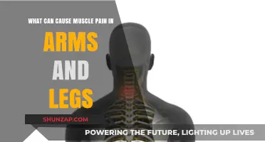 Muscle Pain: Understanding Arm and Leg Discomfort Causes