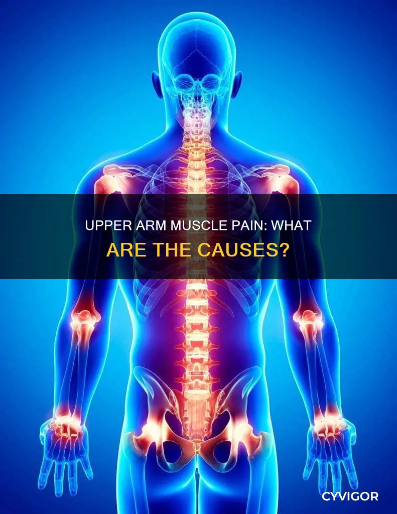 what can cause muscle pain in the upper arm