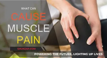 Muscle Pain: Understanding the Triggers and Causes