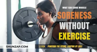 Unexplained Muscle Soreness: What's Causing It?
