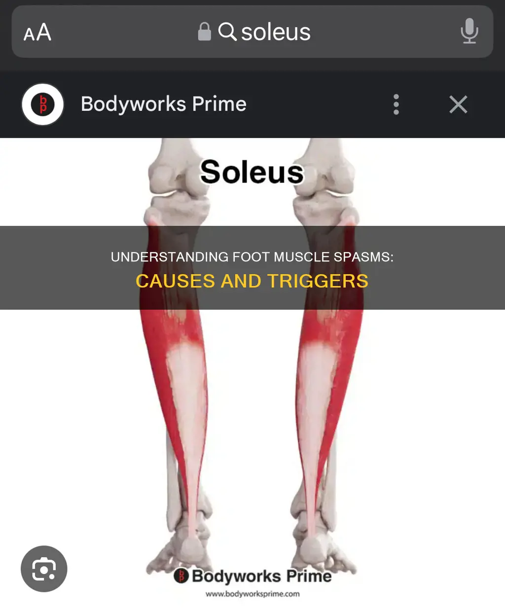what can cause muscle spasms in feet