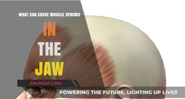 Jaw Muscle Spasms: What Are the Triggers?
