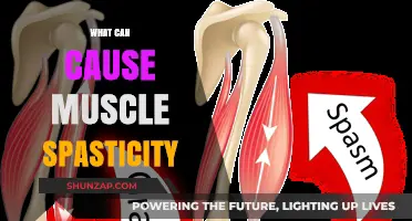 Understanding Muscle Spasticity: Causes and Triggers