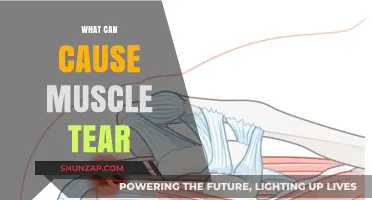 Understanding Muscle Tears: Causes and Prevention
