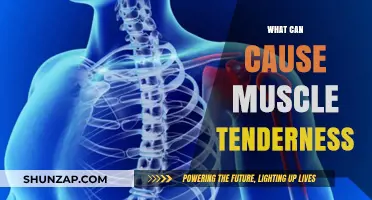 Muscle Tenderness: What Are the Causes?
