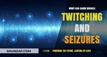 Muscle Twitching and Seizures: What Are the Underlying Causes?