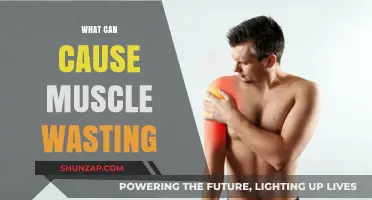 Muscle Wasting: Understanding the Underlying Causes