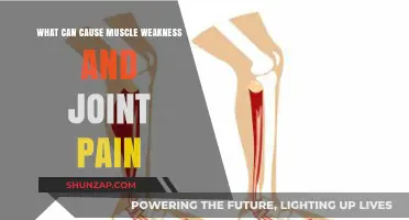 Understanding Muscle Weakness and Joint Pain: Common Causes and Solutions