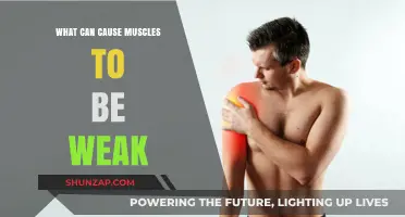Understanding Muscle Weakness: Common Causes and Contributing Factors