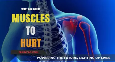 Understanding Muscle Pain: Common Causes and Triggers Explained