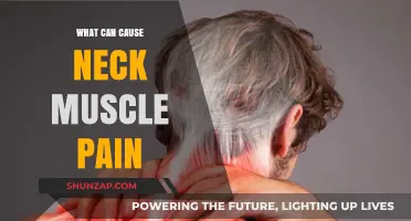 Understanding Neck Muscle Pain: Common Causes and Triggers Explained