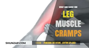 Understanding Leg Muscle Cramps: Common Causes and Triggers Explained
