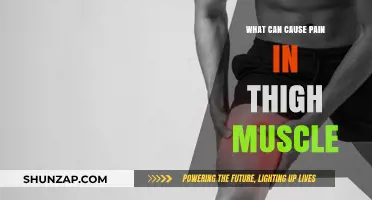 Thigh Muscle Pain Causes: Understanding Strains, Injuries, and Underlying Conditions