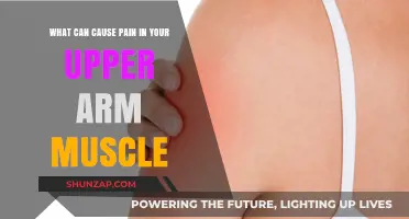 Upper Arm Muscle Pain: Common Causes and Effective Relief Strategies
