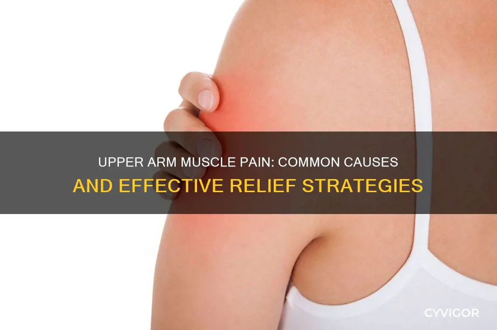 what can cause pain in your upper arm muscle