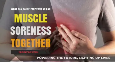 Palpitations and Muscle Soreness: Uncovering Common Causes and Triggers