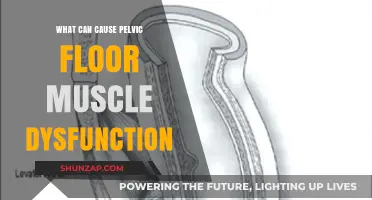 Understanding Pelvic Floor Dysfunction: Causes and Contributing Factors Explained