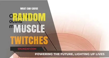 Unraveling the Mystery: Common Causes of Random Muscle Twitches