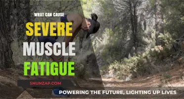 Unraveling Severe Muscle Fatigue: Causes and Contributing Factors Explained