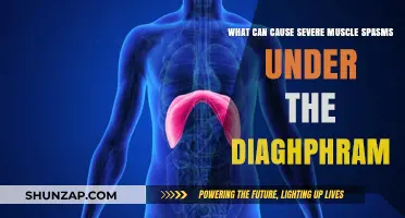Understanding Severe Diaphragm Muscle Spasms: Causes and Triggers Explained