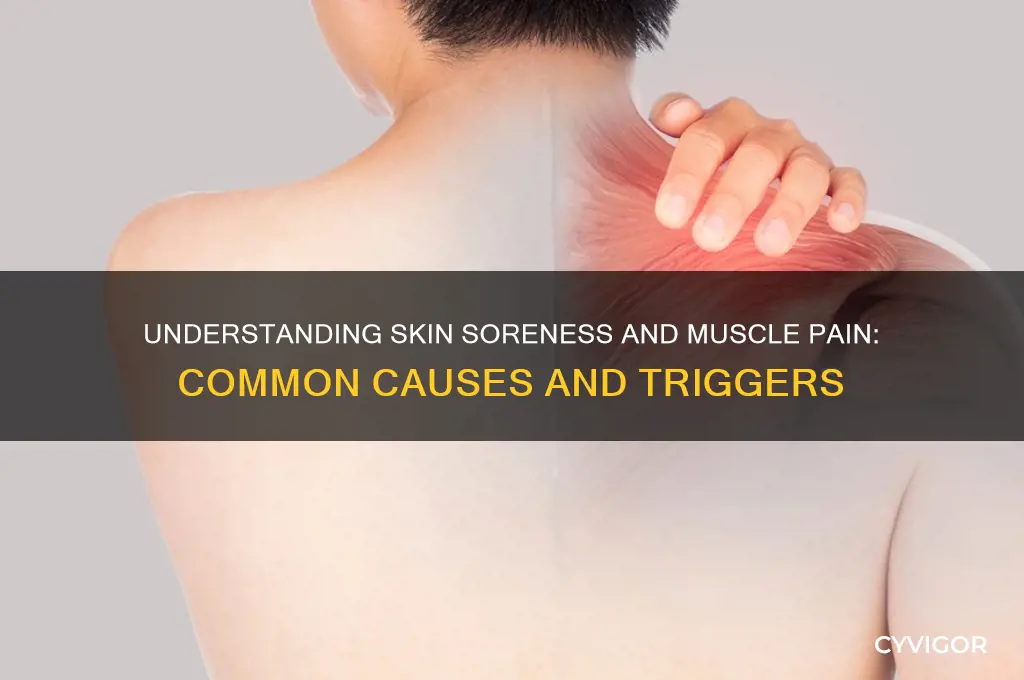 what can cause skin sore muscles