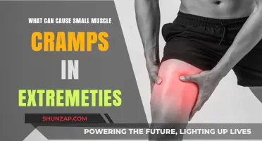 Understanding Small Muscle Cramps in Extremities: Causes and Prevention Tips