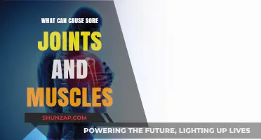 Understanding Sore Joints and Muscles: Common Causes and Remedies