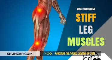 Understanding Stiff Leg Muscles: Common Causes and Effective Remedies