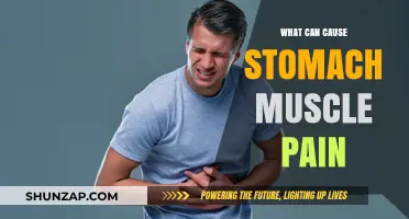 Understanding Stomach Muscle Pain: Common Causes and Triggers Explained