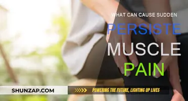 Understanding Persistent Muscle Pain: Uncovering Triggers