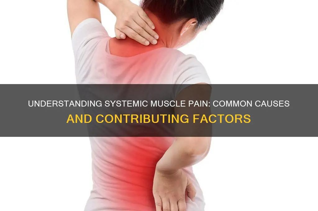 what can cause systemic muscle pain