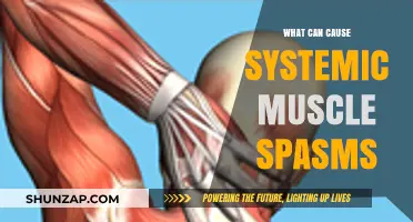 Understanding Systemic Muscle Spasms: Causes, Triggers, and Underlying Factors