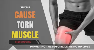 Understanding Torn Muscles: Common Causes and Prevention Tips