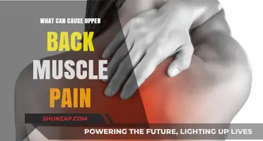 Understanding Upper Back Muscle Pain: Common Causes and Triggers