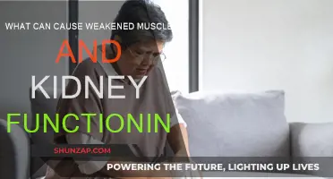 Muscle and Kidney Health: What's the Connection?