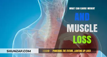Unraveling the Causes of Unintentional Weight and Muscle Loss