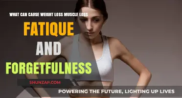 Unraveling the Causes of Weight Loss, Muscle Loss, Fatigue, and Forgetfulness