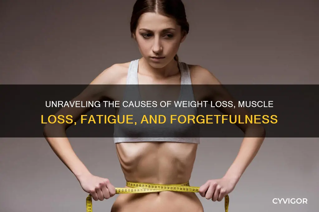 what can cause weight loss muscle loss fatique and forgetfulness