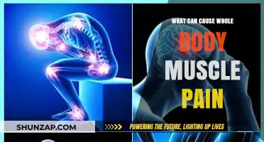 Understanding Whole Body Muscle Pain: Common Causes and Triggers