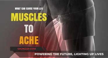 Why Your Leg Muscles Ache: Common Causes and Solutions